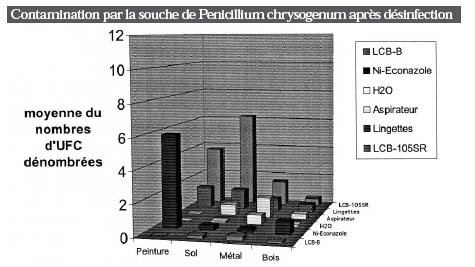 Contamination par la souche de Penicillium chrysogenum après désinfection